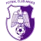 Argeș Pitești